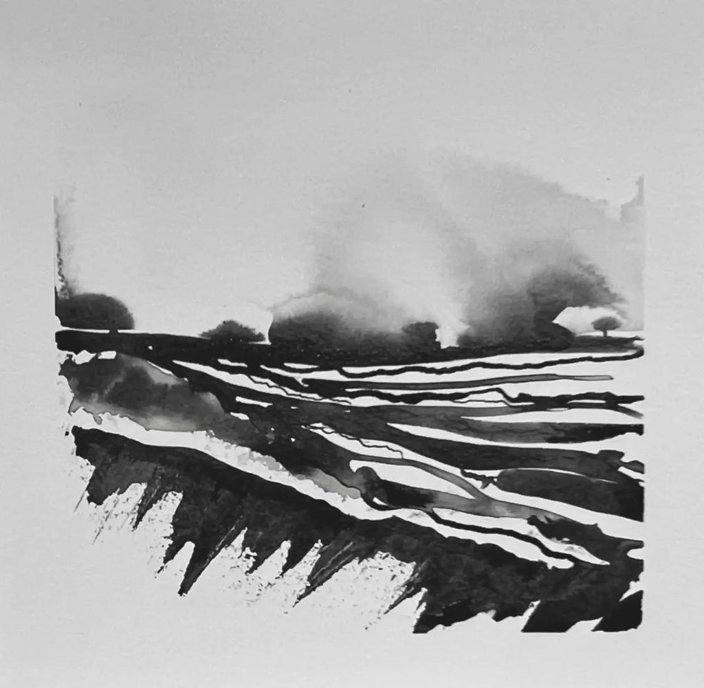 original 21 wild mono Indian Ink painting by paper and lan, contemporary Yorkshire landscape art